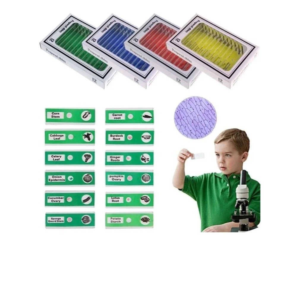 48pcs Prepared Microscope Slides for Kids Animals Insects Plants Biology Science